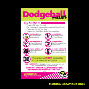 Dodgeball Rules (Florida)