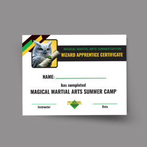 PMA Summer Camps – Magical Martial Arts – Certificate