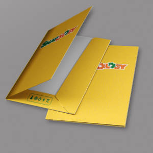 Snapology Presentation Folders