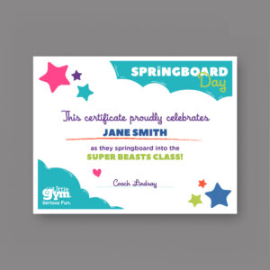 TLG Springboard Day Certificate