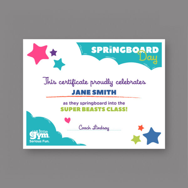TLG Springboard Day Certificate