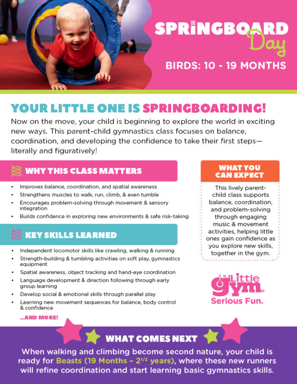 TLG Springboard Day Flyers - Image 3