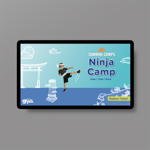 TLG Ninja Camp TV Screen