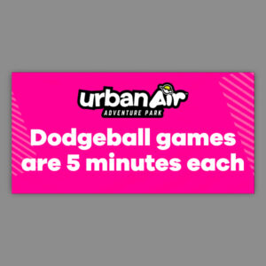 Dodgeball 5 Minute Limit